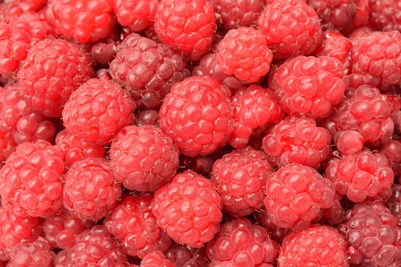 Raspberry Canes